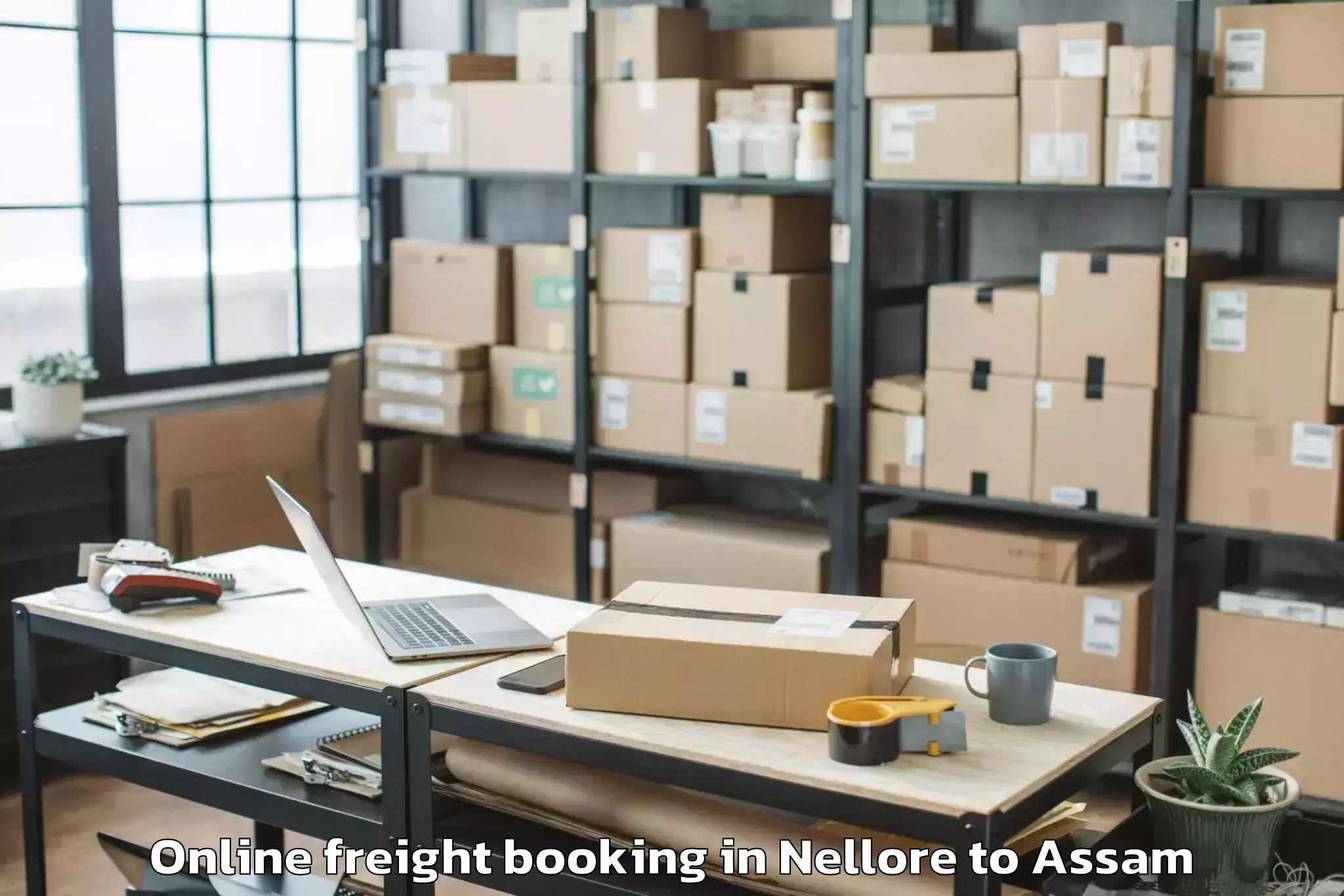 Easy Nellore to Laharighat Online Freight Booking Booking